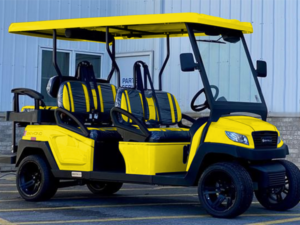 marco island golf cart repairs, golf cart service, mobile repair